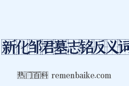 新化邹君墓志铭反义词是什么意思的图片